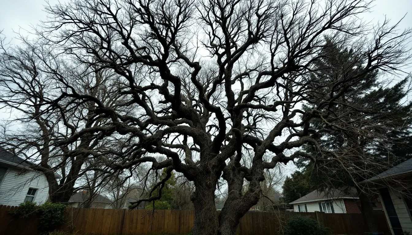Ornamental Tree Pruning in Springfield